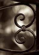 Wall_Art_Alphabet_Photography_Art_ 263
